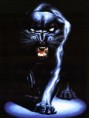 /album/a240x320/blackpantherrc4-jpg/
