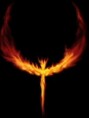 /album/a240x320/fireeh3-jpg/